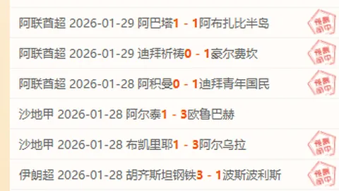 《AVS俱乐部激战布拉加，客场奇迹能否绽放？》